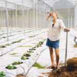 aquaponics kit