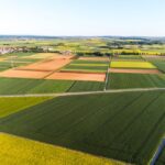 crop insurance