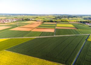crop insurance