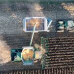 crop insurance