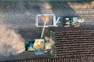 crop insurance
