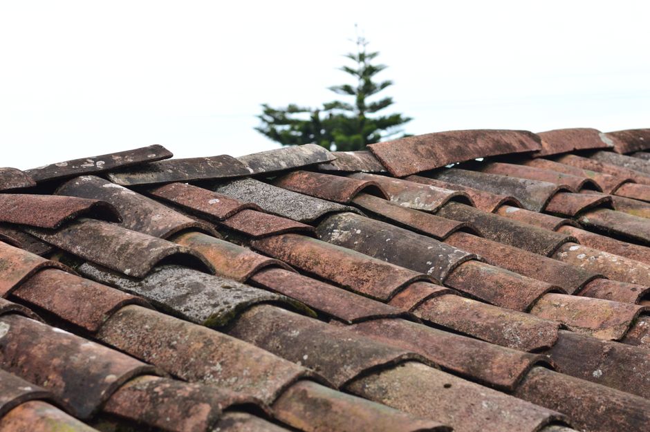 roof replacement cost