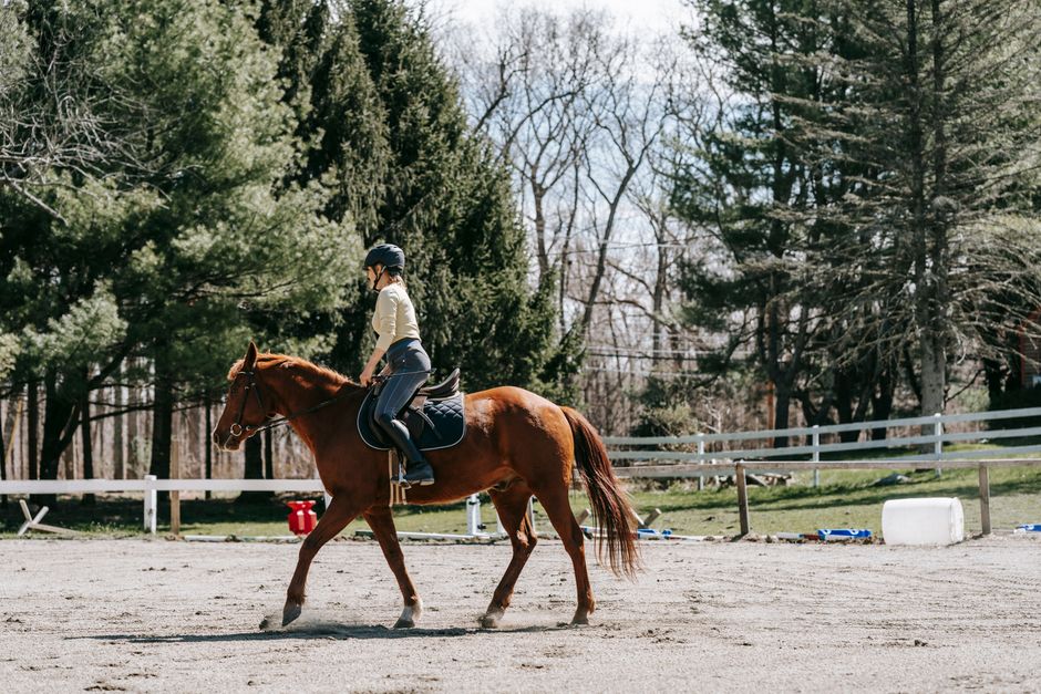 horse riding lessons