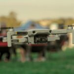 aerial drone photography